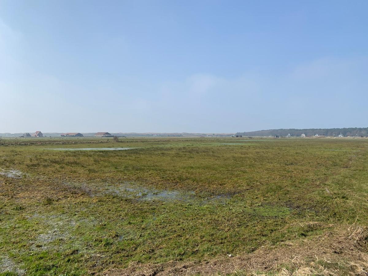 Onder De Pannen Hollum (Ameland) Exterior foto